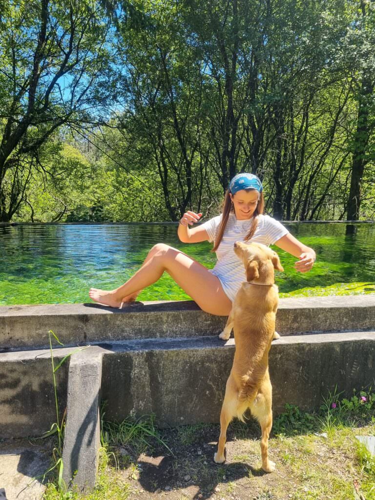 Livro Santiago - A história inusitada de uma rapariga e um cão pelo Caminho de Santiago