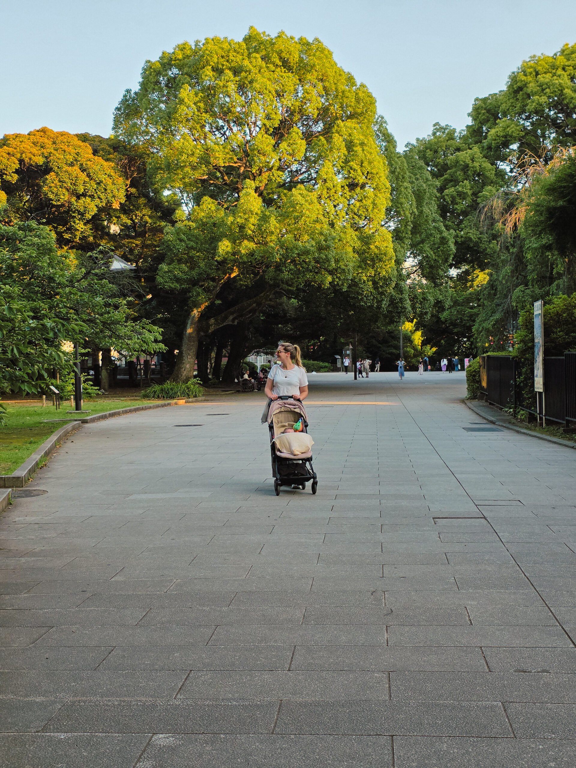 ueno-park-japao Rapariga a passear com um carrinho de bebé no Parque Ueno.