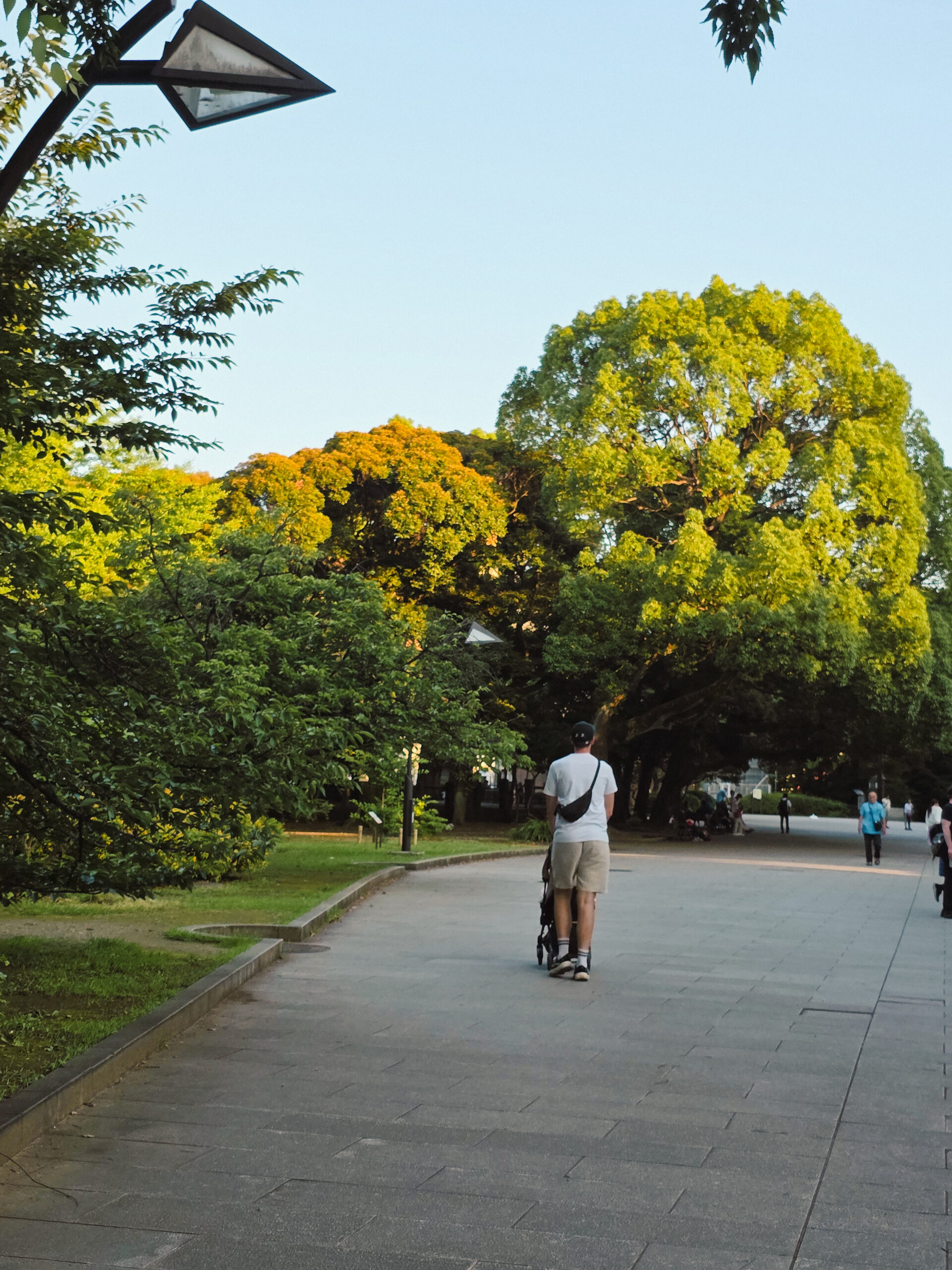 Passeio num parque em Tóquio, Japão, símbolo do bem-estar e dos cuidados de saúde no país.