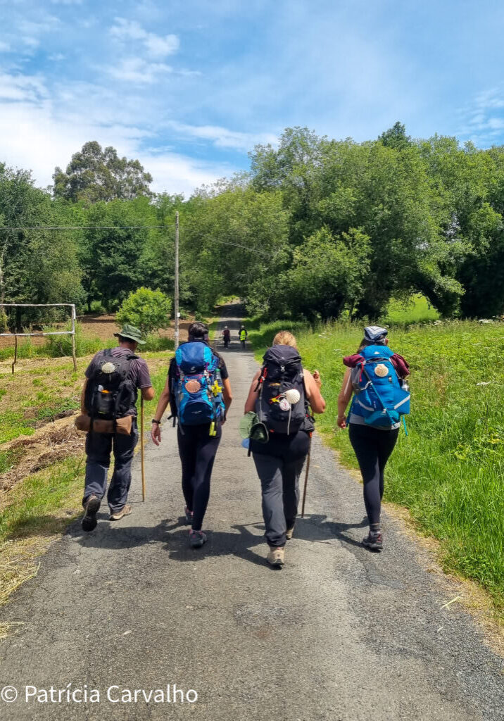 Capa - Albergue de Peregrinos do Caminho de Santiago