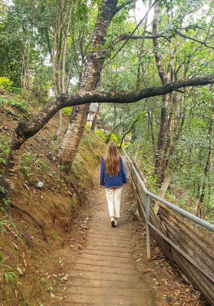 LRM_EXPORT_32162264418148_20190531_073649888