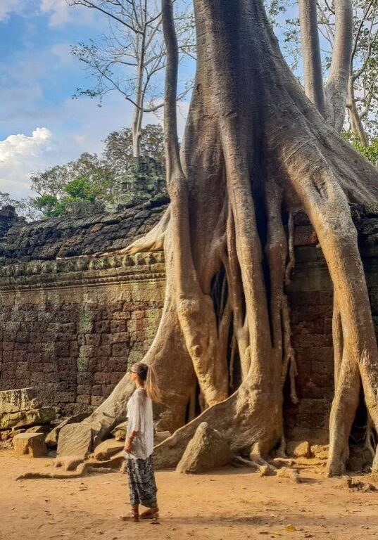 LRM_EXPORT_93188760701845_20181210_195813722_Easy-Resize.com