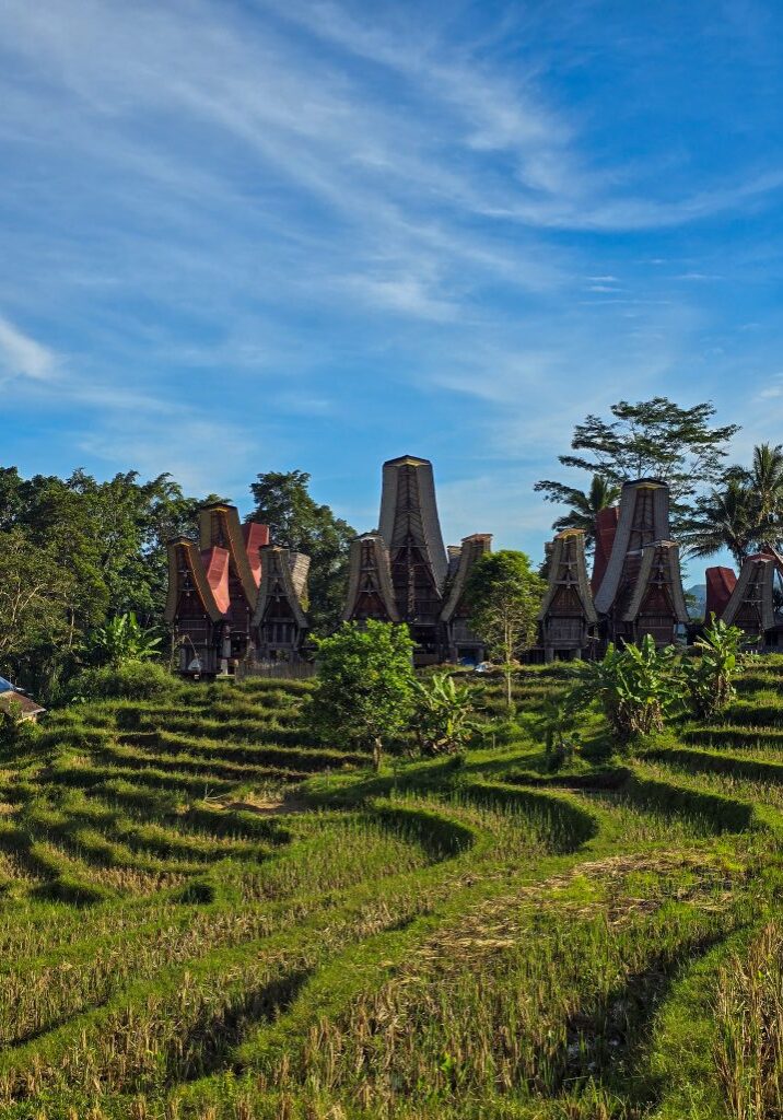 Guia completo para visitar Tana Toraja e as suas cerimónias fúnebres
